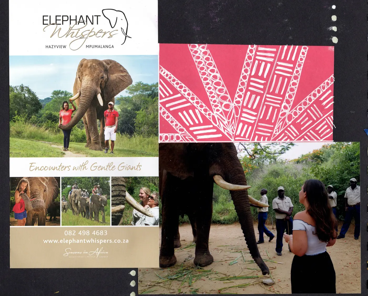 Elephant Whispers, South Africa
